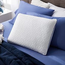 Sleep Innovations Forever Cool Pillow