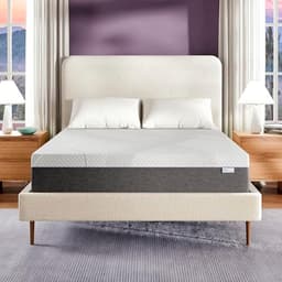 Sleep Innovations Shiloh 14-inch Queen