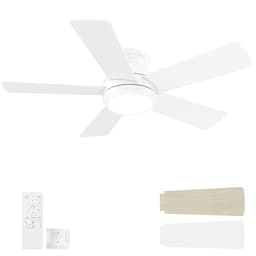 Pochfan Ceiling Fan