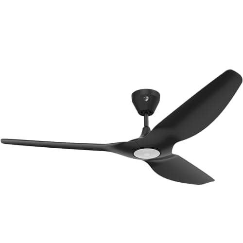 Big Ass Fans Haiku L 60-inch Black