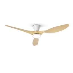 Taloya 52-inch