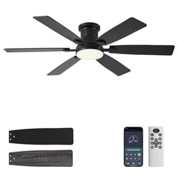Iacaf Ceiling Fan