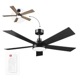 Globe Veloria Matte Black