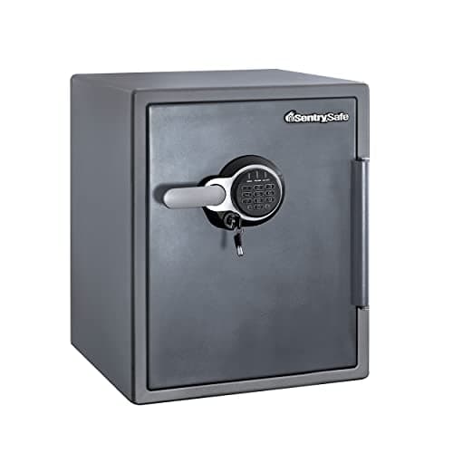 SentrySafe SFW205GQC Gray