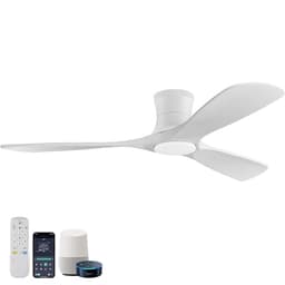 Hoenofly Ceiling Fan