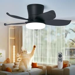 Lanmel Flush Mount Ceiling Fan