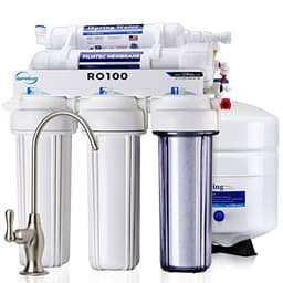 iSpring RO100