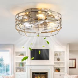 Youroke Caged Ceiling Fan