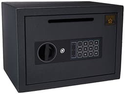 Paragon Cash King Depository