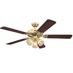 Westinghouse Vintage Polished Brass