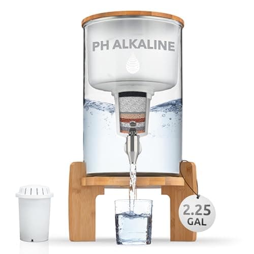 Invigorated Water pH Recharge Dispenser