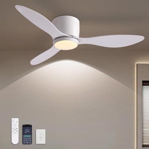 Ludomide Ceiling Fan