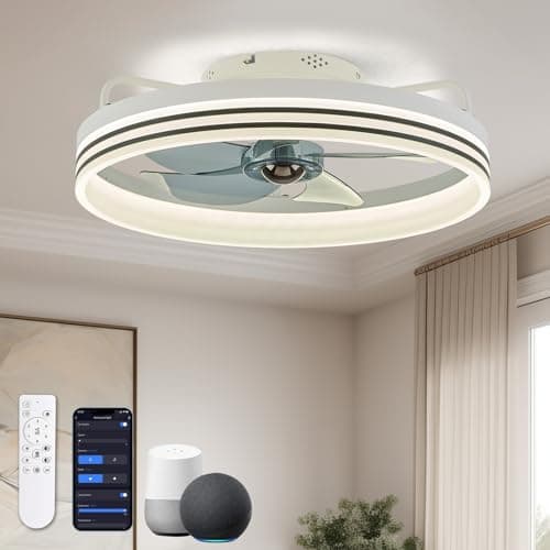 Ludomide Ceiling Fan