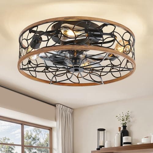 Lediary Caged Ceiling Fan Black