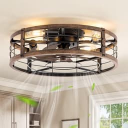 Lediary Caged Ceiling Fan