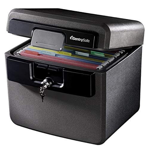 SentrySafe HD4100 Black
